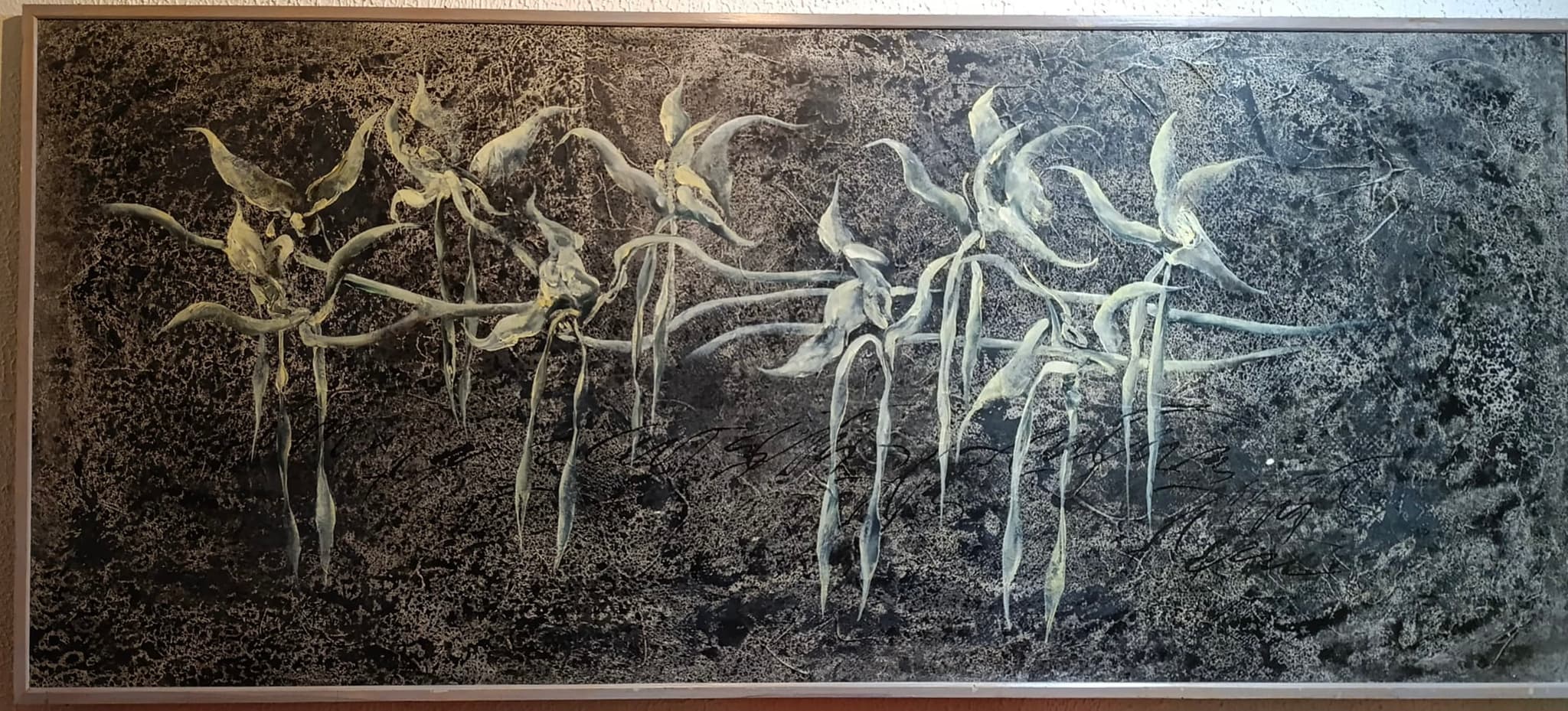 Orquideas en negro por Guillermo Conte