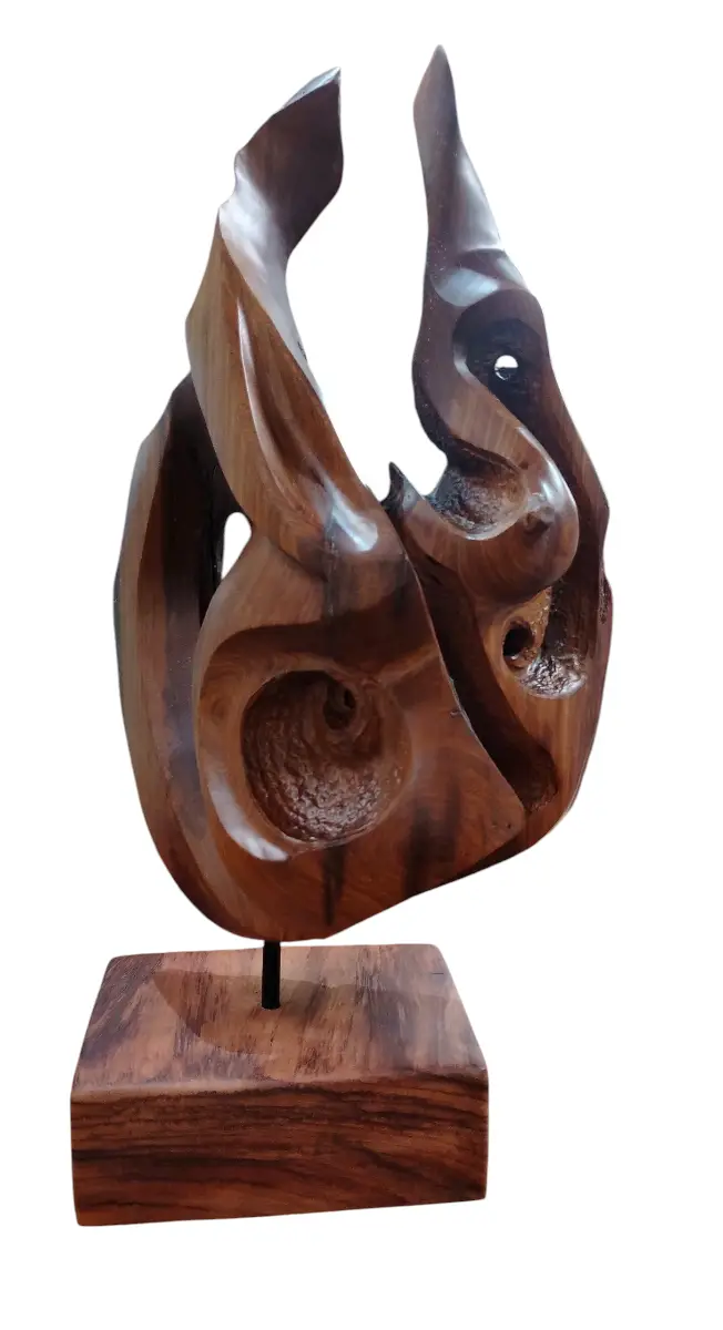 Adstraccion Femenina por Heiner Guido