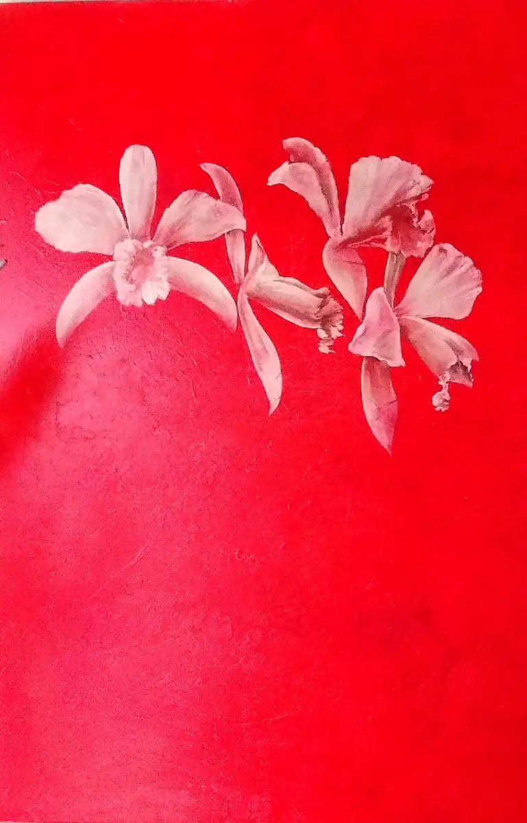 Orquídea Fondo rojo por Guillermo Conte