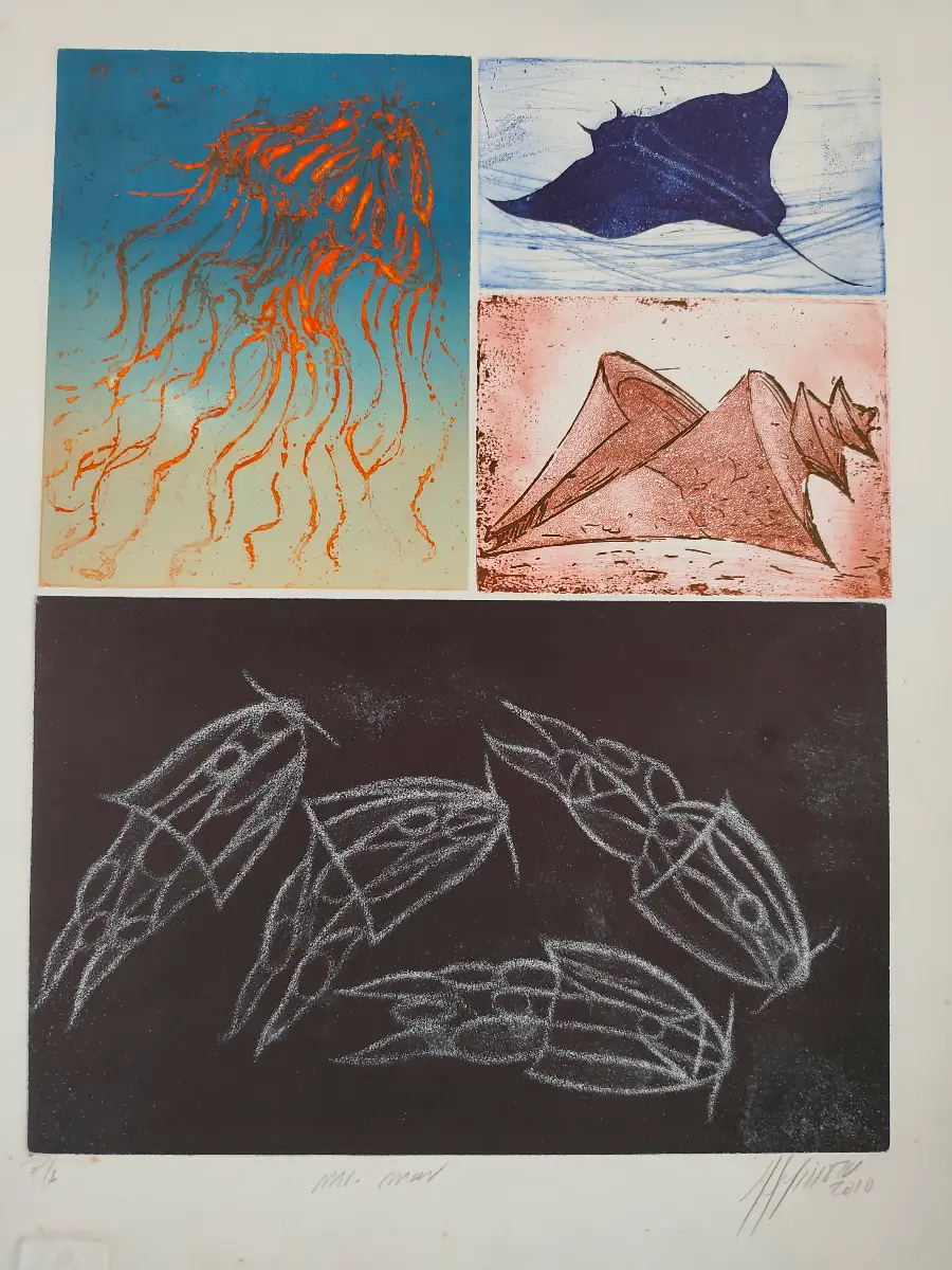 Obra de Adrian Fonseca