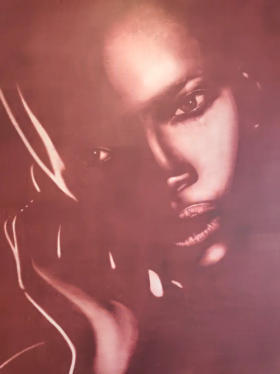 La obra presenta un retrato de primer plano de una mujer con una expresión intensa, emergiendo de un fondo oscuro. Su rostro está fuertemente iluminado en un lado, creando un contraste dramático con las sombras profundas que cubren la otra mitad, lo que le confiere un aire misterioso y contemplativo. Los tonos sepias y rojizos dominan la paleta, acentuando el dramatismo de la escena.