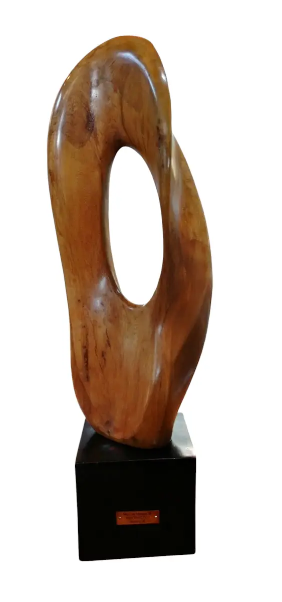 Abstracto 1 por Manuel Vargas